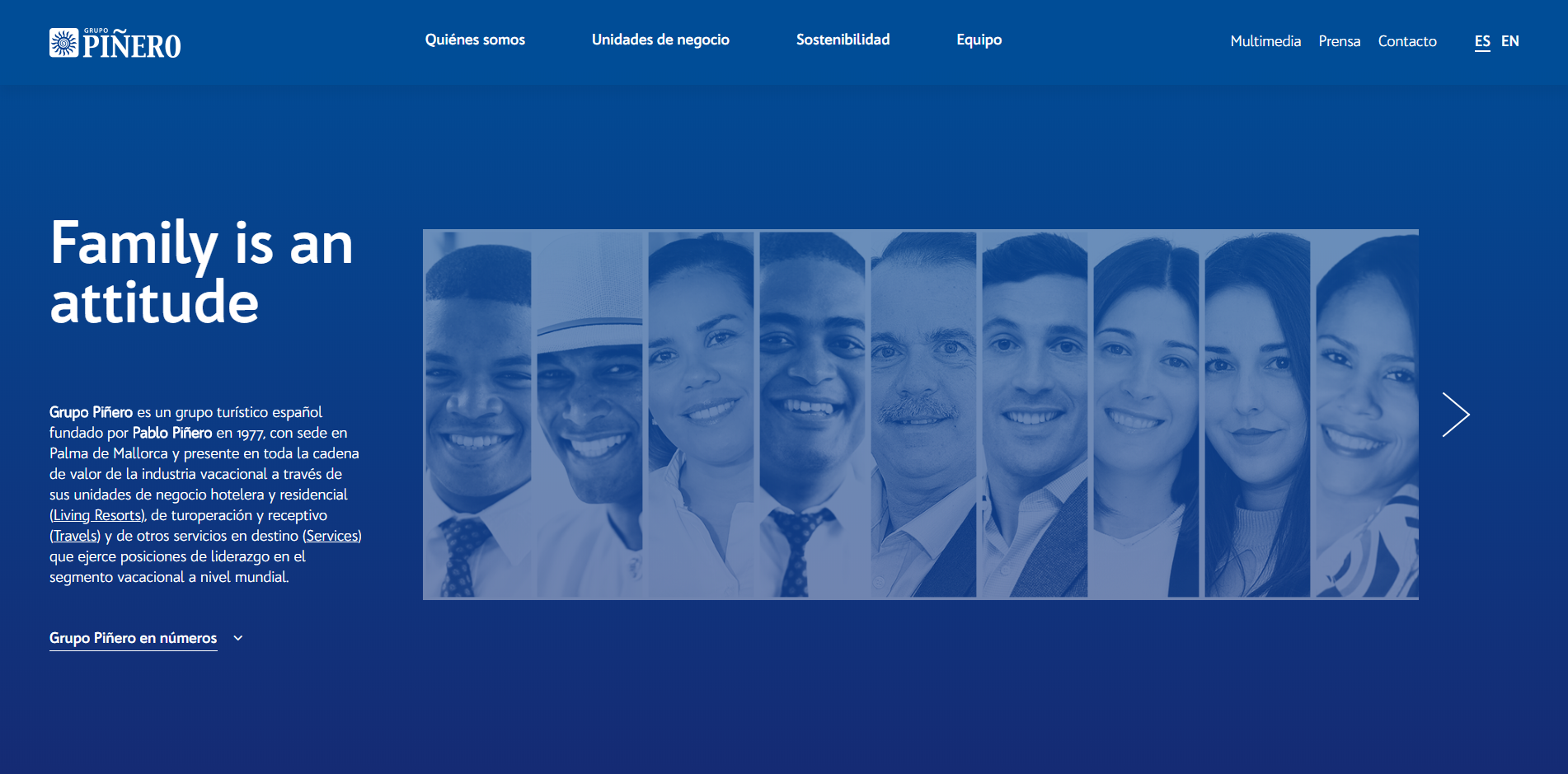 Página de bienvenida, web Grupo Piñero